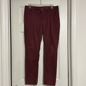 LC Burgundy Pants